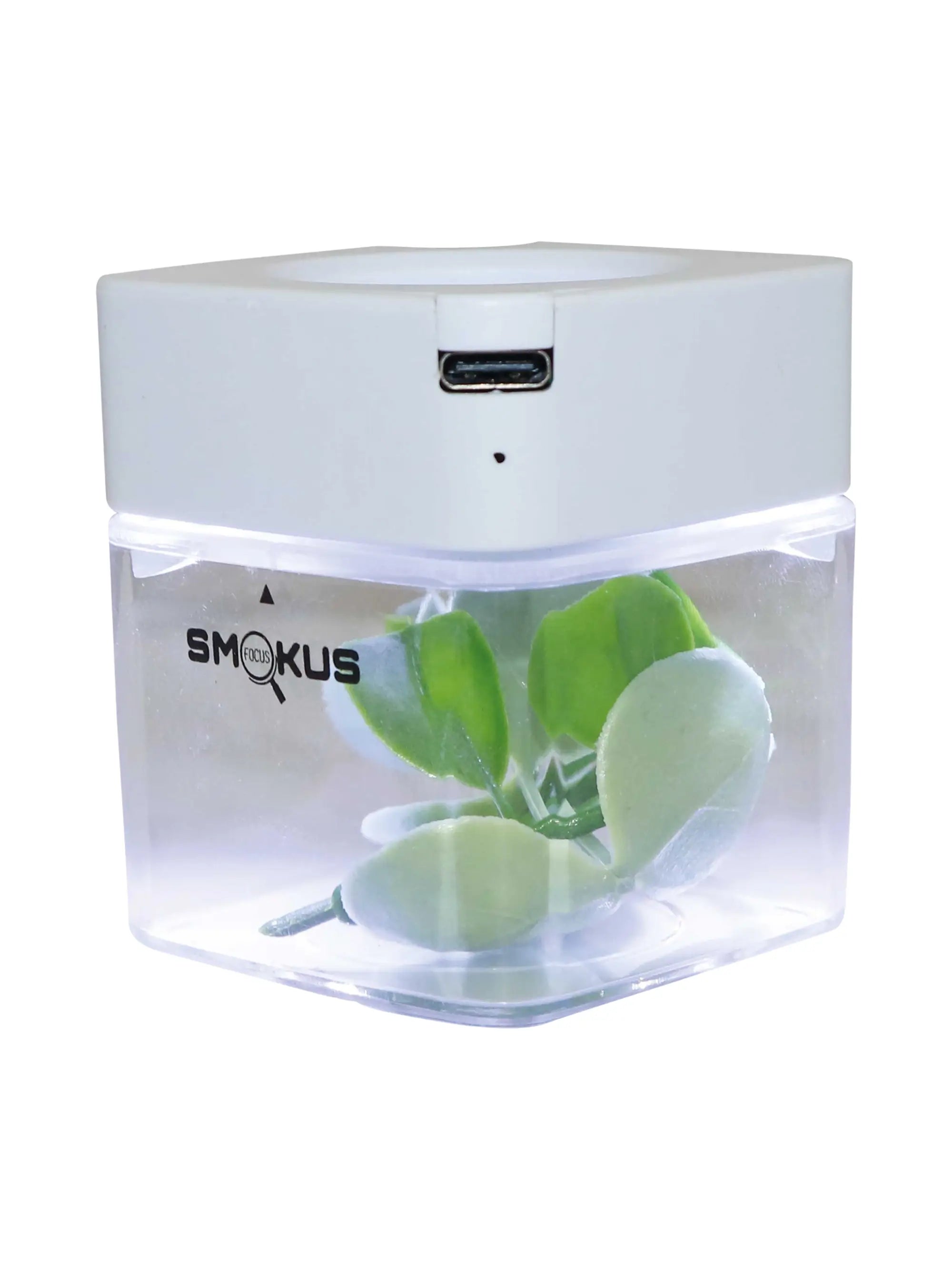 Smokus Focus Comet Infinity Aufbewahrungsglas mit LED & Lupe