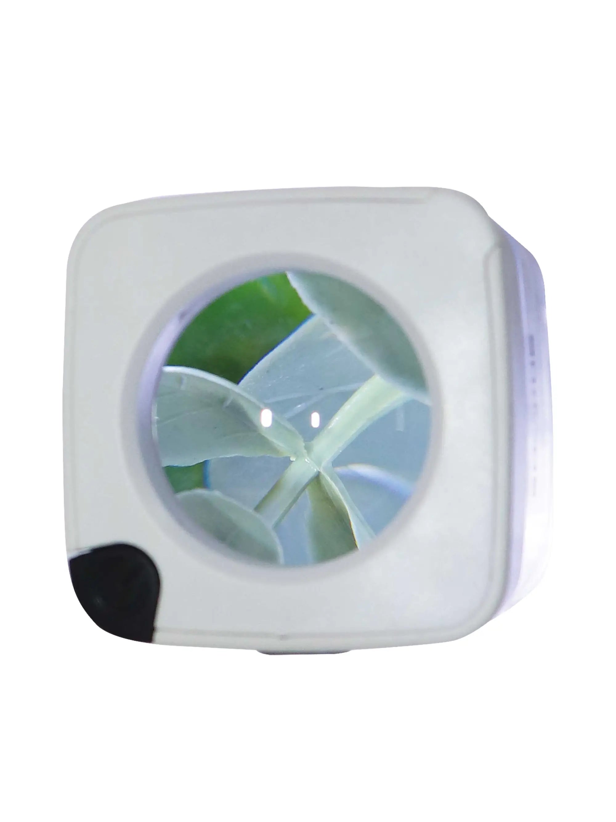 Smokus Focus Comet Infinity Aufbewahrungsglas mit LED & Lupe