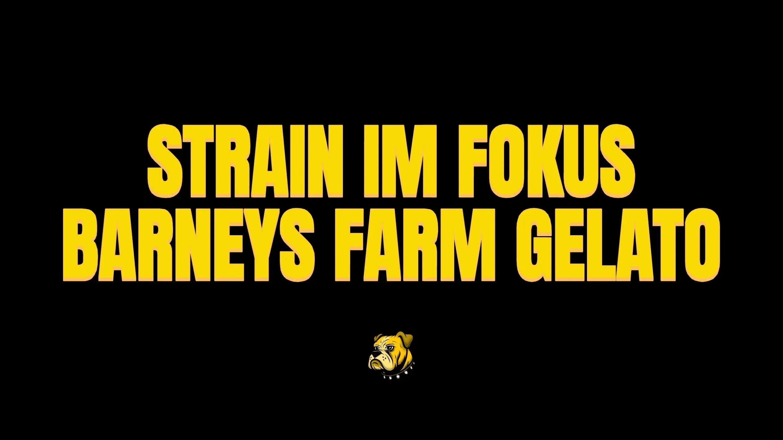 Barneys Farm Gelato – Strain im Fokus: Genetik, Aroma & Eigenschaften
