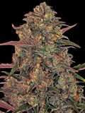 Barneys Farm Pineapple Chunk
