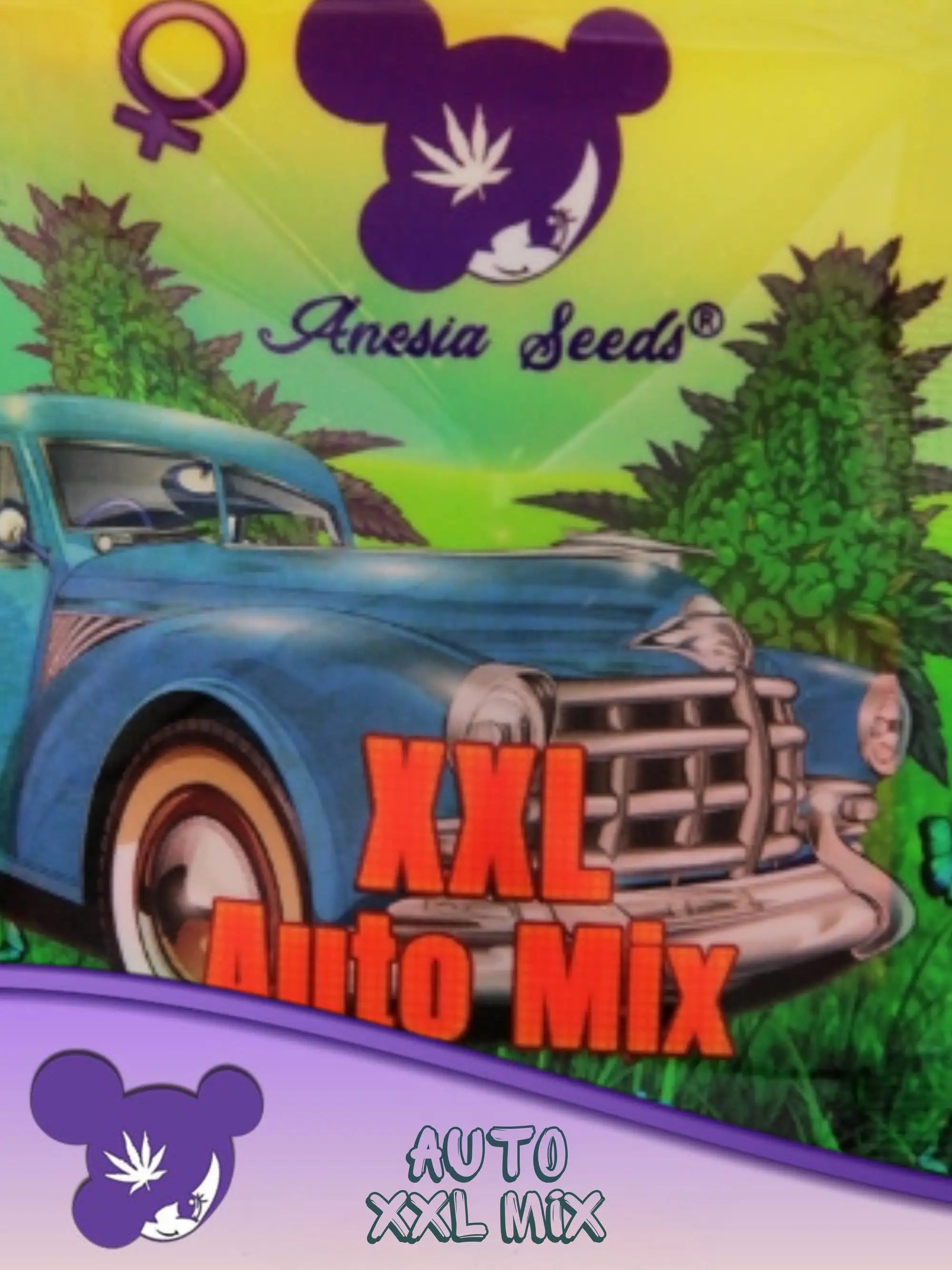 Auto Mix XXL von Anesia Seeds – 15 feminisierte Autoflower-Samen als Souvenir zur Sammlung und Erhaltung genetischer Vielfalt.