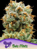 Bola Mintz® Cannabissamen von Anesia Seeds – Triangle Mints x Ebola #7, Sammler- und Souvenirprodukt