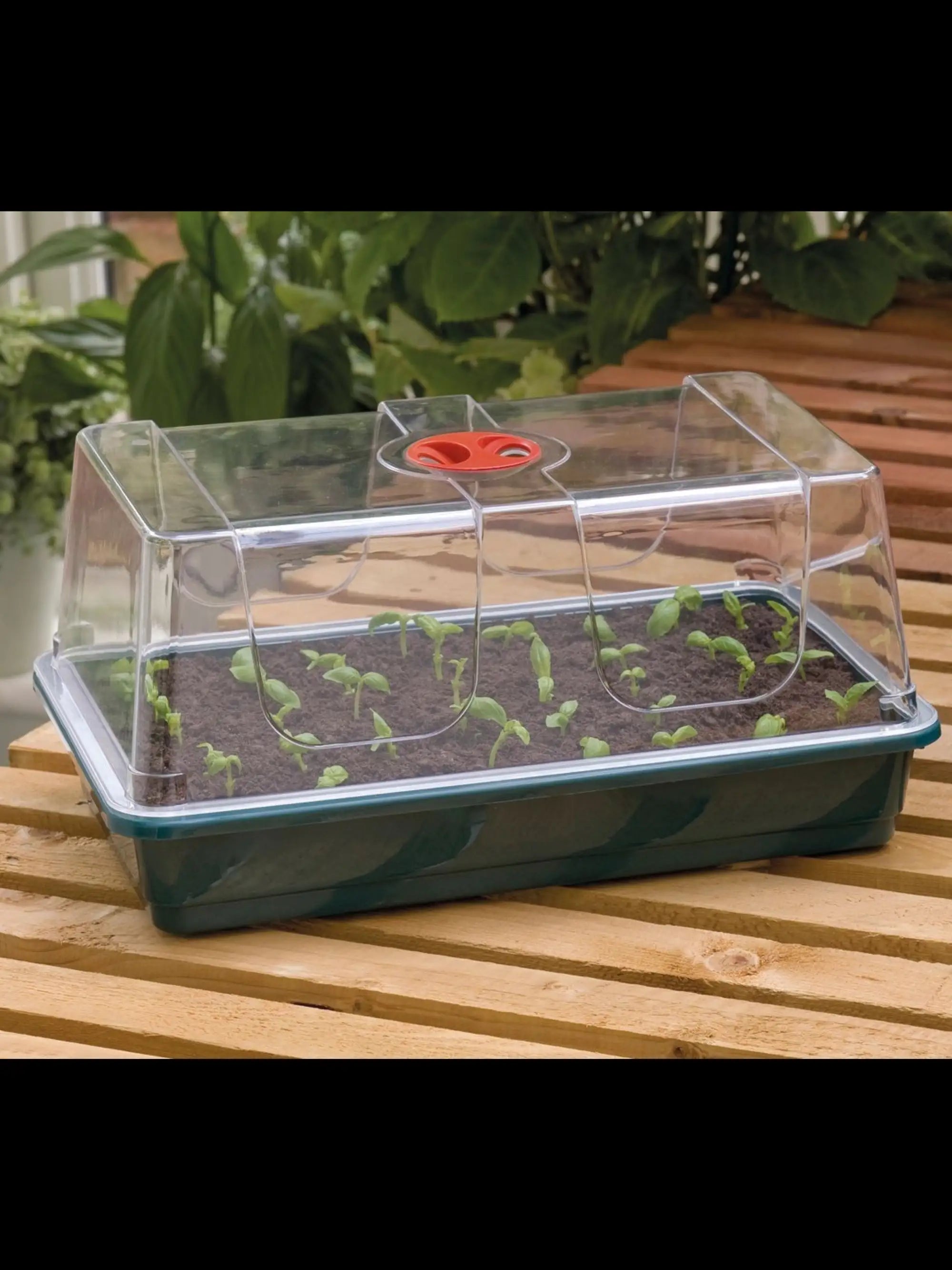 Kleiner Anzuchtkasten von Garland aus Hartplastik mit zwei Belüftungsfenstern – ideales Gewächshaus für Samen und Stecklinge