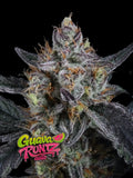 Guava Runtz Auto Cannabissamen aus der Champions Line mit bis zu 28 % THC und tropisch-süßem Fruchtaroma.