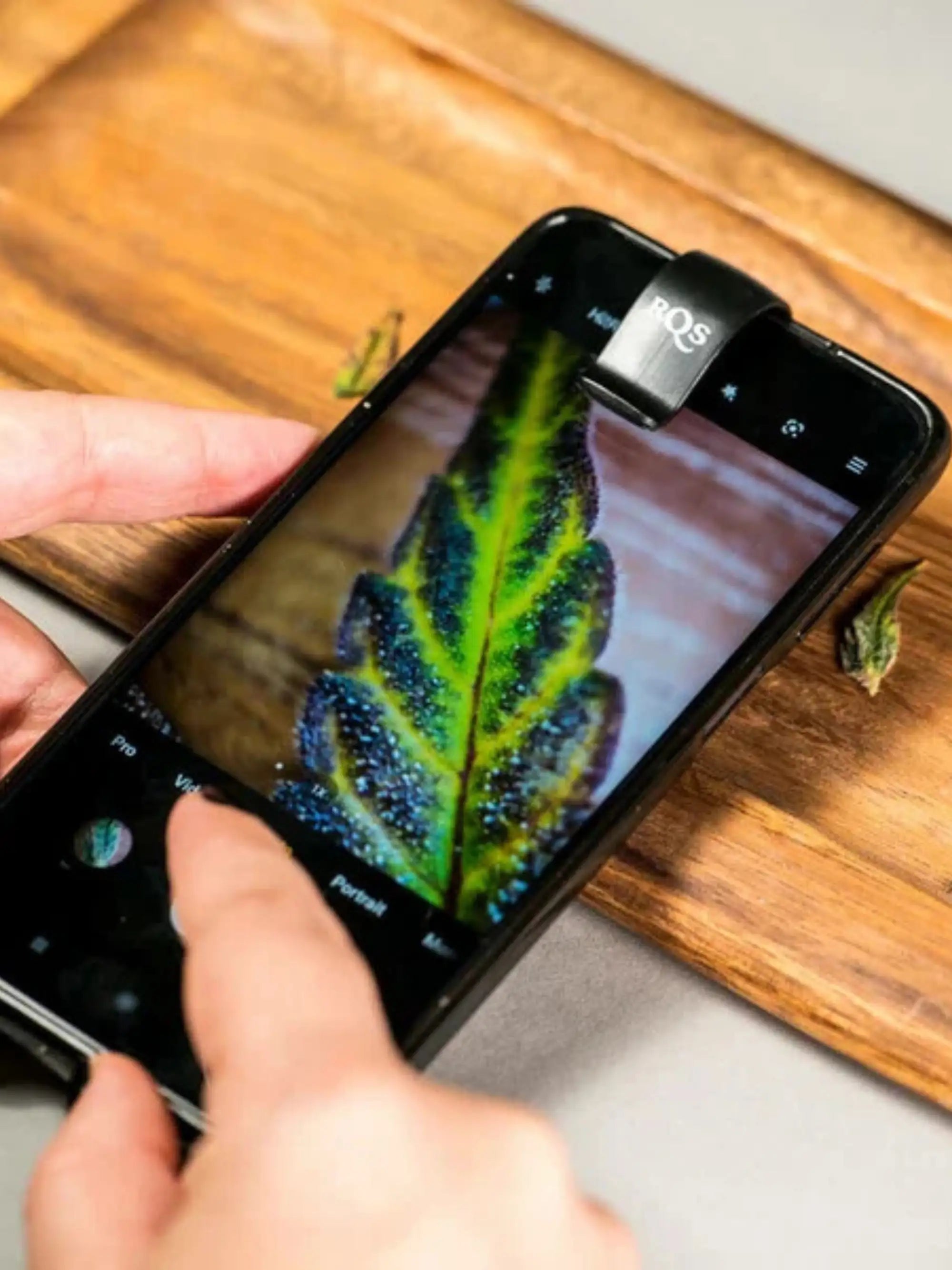 Clip-Mikroskop für Smartphones von Royal Queen Seeds, perfekt geeignet für Grower zur Erntezeitpunktbestimmung.