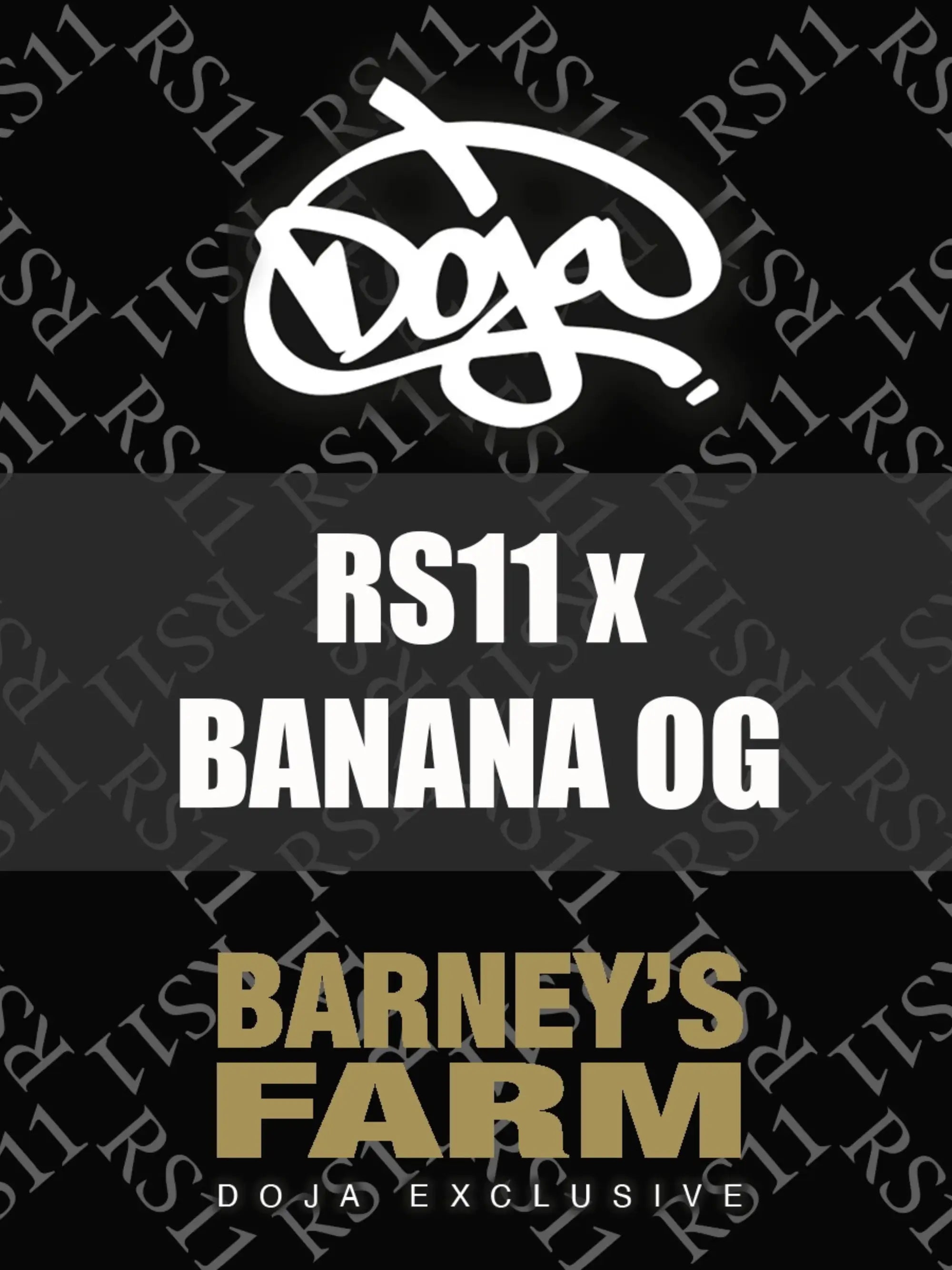 Barney’s Farm x Doja Exclusive RS11 × Banana OG feminisierte Cannabissamen – Indica-dominanter Hybrid, fruchtig-süßes Aroma nach Grapefruit, Banane, Melone, kräftiger Wuchs und hoher Ertrag