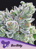 Sour Betty feminisierte Cannabissamen von Anesia Seeds zur Sammlung genetischer Vielfalt.