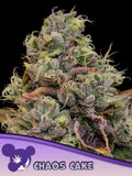 Anesia Seeds Chaos Cake